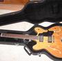 DeArmond Starfire Custom by Guild
